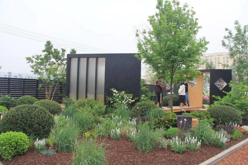 解讀園林綠化施工全過程，教你如何成為綠化行業大佬