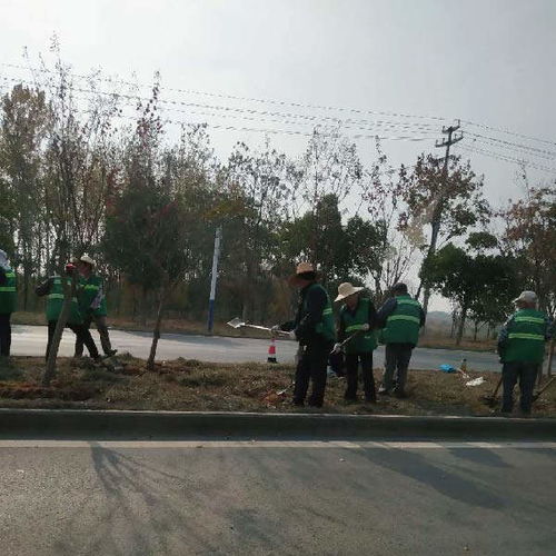 經開區市政園林綠化工程推薦 秋樂園林，價格優惠助力城市綠化管理